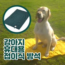 LETOJ 강아지 휴대용 접이식 매트, 1개, 다크그린