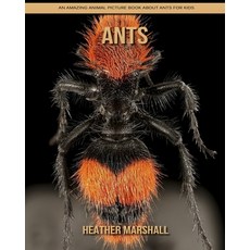 Ants: An Amazing Animal Picture Book about Ants for Kids Paperback, Independently Published