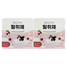 욕실의여왕 생활 탈취제 / 블랙체리 / 1+1 / DY, 1개, 230g