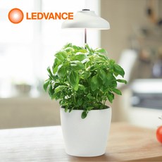 레드밴스 LED 식물램프 가든 우산 5W