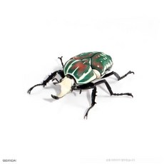 장수풍뎅이 피규어 장난감 리얼 고퀄 곤충 사슴벌레 곤충장난감 대형 모형 생물대도감, D타입