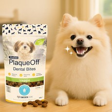 아부티유 강아지 치석과자 입냄새 치석 제거, 1개, 60g