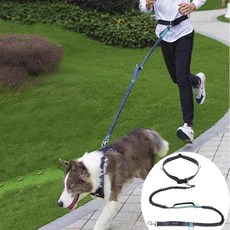 예삐스토어 핸즈프리 강아지 허리 목줄 리드줄 허리벨트 조깅 러닝 대형견 산책줄, 블루, 1개