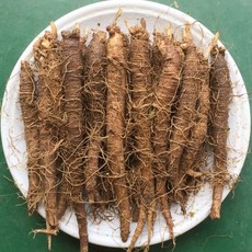 횡성더덕농장 더덕 중 1kg, 1개, 중1kg(40~50뿌리)