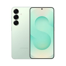 삼성전자 갤럭시 S25 SM-S931N 256GB 2년 기능보증 + 1년 액정보증 박스풀패키징, 리퍼비시 민트