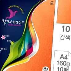 디쓰리포 미술종이 칼라퍼레이드 A4 감색 160g 10매