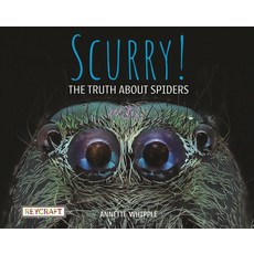 Scurry! 蜘蛛的真相 / Annette Whipple 動物真相系列, 詳見詳細資訊