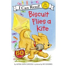 Biscuit Flies a Kite Harpercollins Childrens Books
