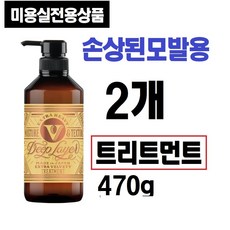 딥레이어 트리트먼트 ExV 손상된 모발용, 2개, 470g