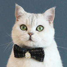 네오바트 강아지 고양이 트위드 귀여운 리본 목걸이 악세사리 목줄 촬영용, 블랙, 1개