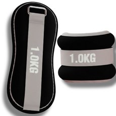 와일드윙 균형훈련 손목 발목 모래주머니, 블랙, 2kg