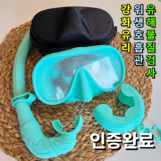 [안전 강화유리]대디웨어 스노쿨링마스크 접이식 폴더블 휴대용 물놀이세트 성인 유아 어린이 초등, 퓨어민트