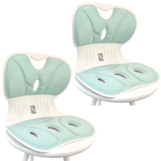 Mirsh [ 1+1 ] 바른자세 등받이 허리보호 자세보정 의자, 그린