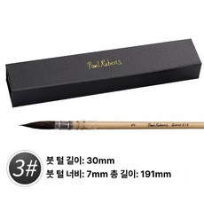 폴 루벤스 수채화 물감 브러시워시걸레라운드 헤어 페인트, 1개, 3번