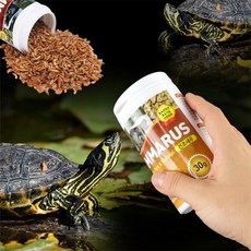 깨들 거북이 사료 양서류