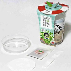 새싹채소 키우기 키트 브로콜리 유채 적무 식물재배세트, 무순