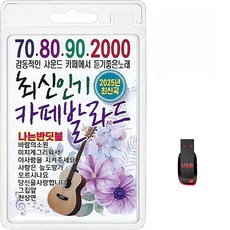 USB 70 80 90 2000 최신인기 카페발라드 100곡 휴대용라디오 mp3 트로트 가요 음반 노래 최유진 조은혜 이순주 이상화 이혜민, 1개