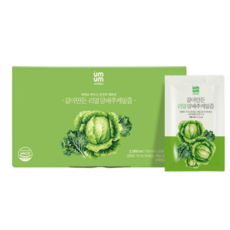 움움 갈아만든 리얼 양배추케일즙, 100ml, 60개