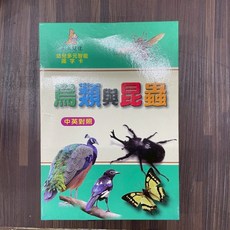 上人文化 鳥類與昆蟲識字卡(中英對照), 單本