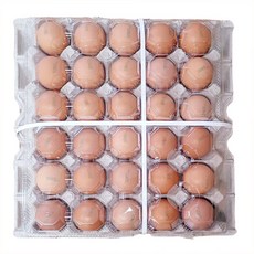 HACCP인증 무항생제 동물복지 유정란 특란 30구(난각번호1번)