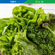 [농협선별] 유러피안 샐러드 4종 1kg 야채믹스, 01.유러피안 샐러드 채소1kg