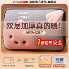 KYOUNG 彩陽 充電式熱水袋 防爆毛絨卡通暖手寶 8層加厚 麗絲絨觸感 國標防爆 1秒速熱, 1個, 8層加厚防爆/麗絲絨觸感/雙插/紫紫熊,官方正品/國標防爆/1秒聚熱