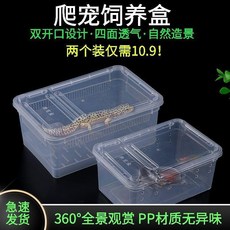 超值 爬寵飼養盒蜘蛛角蛙蝸牛倉鼠守宮爬寵箱烏龜寄居蟹飼養缸 副廠商品, 1個, 中號飼養盒+大號飼養盒 兩件套, N/A