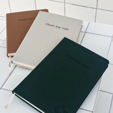 치트키 노트 다이어리 목표쓰기 100일 100번 확언, 꿋꿋 카키, 색상