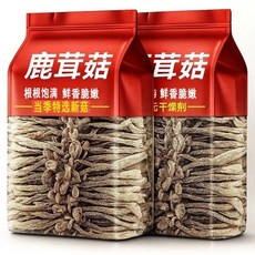 말린 녹용 버섯 그대로말린버섯 250g 1봉 2봉 중국 운남 특산 JIKTEM BW5092408, 고급, 1개