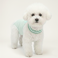 소소잡방 반려동물 곰돌이 위생팬티, 1개, 1개입, 중형