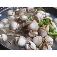 산지직송 서해안 생물 동죽(물총)조개 5kg 1개, 1박스, 3kg