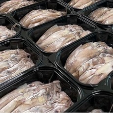 총알한치 급냉 식감좋은 급속냉각 제철 한치 국내산, 1개, 500g(7-13미)