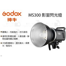 GODOX MS300 影室閃光燈 體積小、性能強大、持久耐用 適用於棚拍、人像、靜物拍攝, 1個