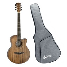 Freeway優選40吋民謠吉他 FW-2 全桃花芯平光漆 含袋肩匹 西門現貨供應, 1個