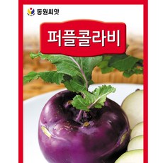 영농사 <동원 퍼플 콜라비 씨앗 500립> 콜라비씨, 2개