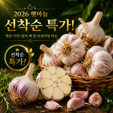 [2026 첫수확] 당일수확 국산 햇마늘 산지직송, 1박스, 1kg