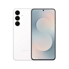 삼성전자 갤럭시 S25 FE SM-S731N, 화이트실버, 256GB