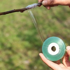 접목비닐 접목 테이프 식물테이프 원예도구 3cmx100m, 접목용테이프 3cm x 100m