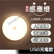家用LED感應燈 白光暖光雙色燈 自動開關 磁吸 人體感應燈 衣櫥燈 走廊燈 玄關燈 床頭燈 室內應急燈, 1個, 白光暖光雙色感應燈