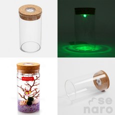 생활잇 마리모 키우기 LED 유리병 6.5x12.5cm 어항꾸미기
