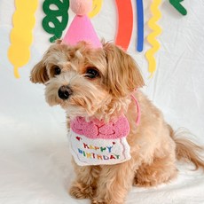 랄라댕댕 강아지 고양이 생일파티 돌잔치 턱받이 모자, 핑크, 1세트