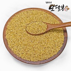 힘찬농부오달봉 국산 노랑차조 오곡 좁쌀 2025년산, 1개, 1kg