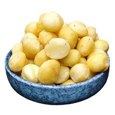 【頂豆食品】原味夏威夷豆 無調味夏威夷豆 堅果