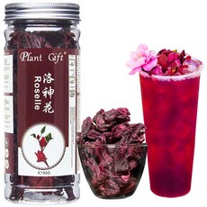 플랜트 기프트 로젤 히비스커스 유기농 히비스커스차 히비스 Plant Gift Roselle Hibiscus Hibiscus Tea Hibiscus Flowers Rosell, 1개