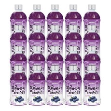 웰그린 스위츠 블루베리아이스티, 20개, 340ml