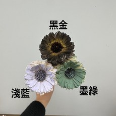 花藝夢 百日菊索拉 6公分/整把十支販售/太陽花 向日葵 擴香花 畢業花束 乾燥花 永生花 不凋花, 淺藍