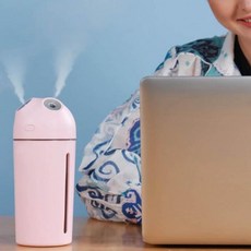 차량용 미니가습기 휴대용가습기, 화이트