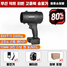 [산업용] 리튬 배터리 터빈 고출력 송풍기 다기능 고출력 리튬 송풍기 무선 송풍기 터보 에어건/브러시리스 모터/최대추력 5000g (1) [강력한 터보 팬] 1개, (1) [강력한 터보 팬] × 1개