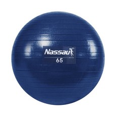 헬스 낫소 다이어트 짐볼 65cm jja*42954hN, 상세페이지 참조, 1개