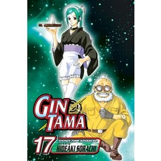 (영문도서)Gin Tama Vol. 17: Only One Hour of Video Games Per Day Paperback, Viz Media, 9781421528151, English